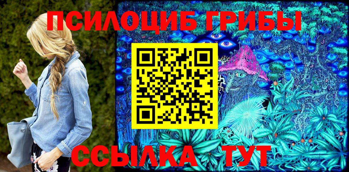 Волжский  Псилоцибиновые грибы Magic Shrooms  дарнет шоп  Вход с VPN 